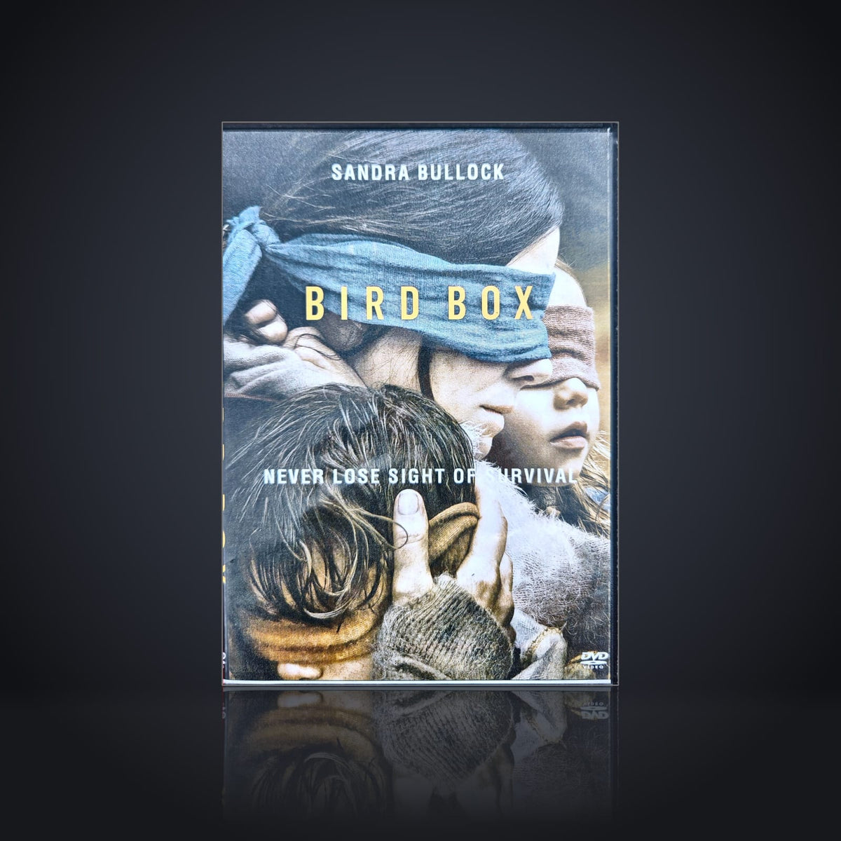 Bird Box DVD Sandra Bullock